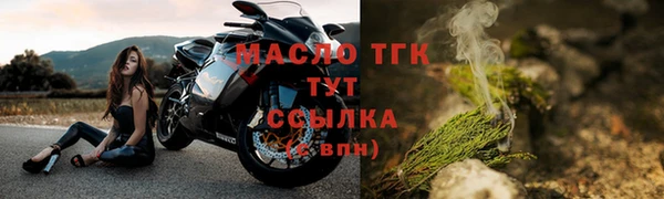 индика Медвежьегорск