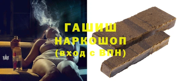 индика Медвежьегорск