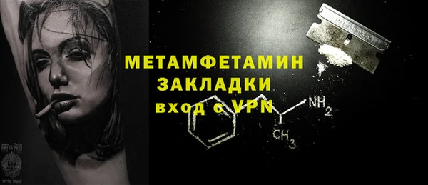 индика Медвежьегорск