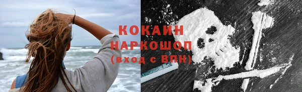 Альфа ПВП Гвардейск