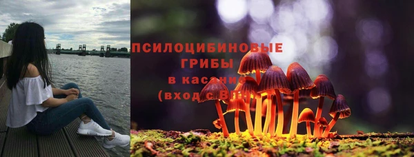 мяу мяу мука Медногорск