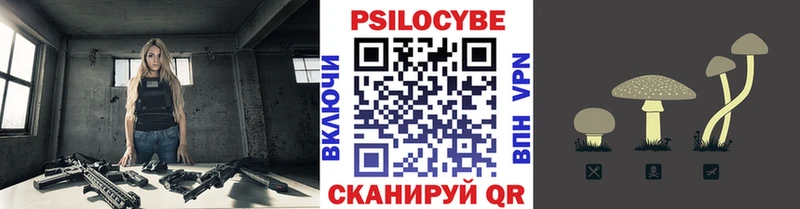 Псилоцибиновые грибы Psilocybe  Избербаш 