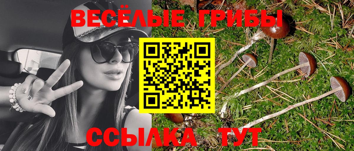 Псилоцибиновые грибы мухоморы  Вход с VPN  Галлюциногенные грибы Cubensis  Избербаш 
