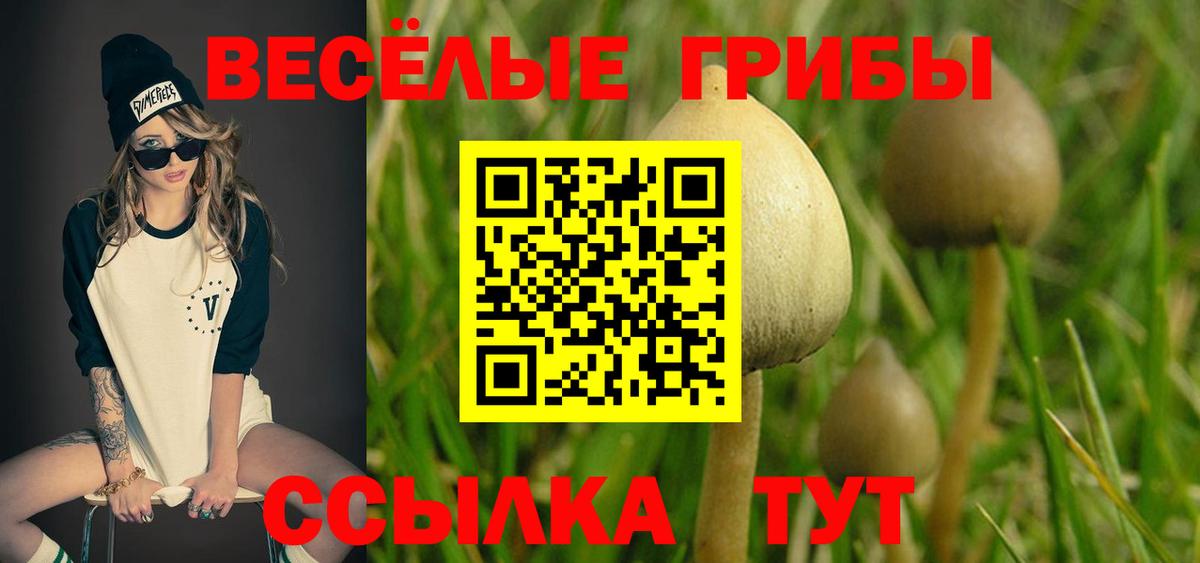 Галлюциногенные грибы Magic Shrooms Избербаш